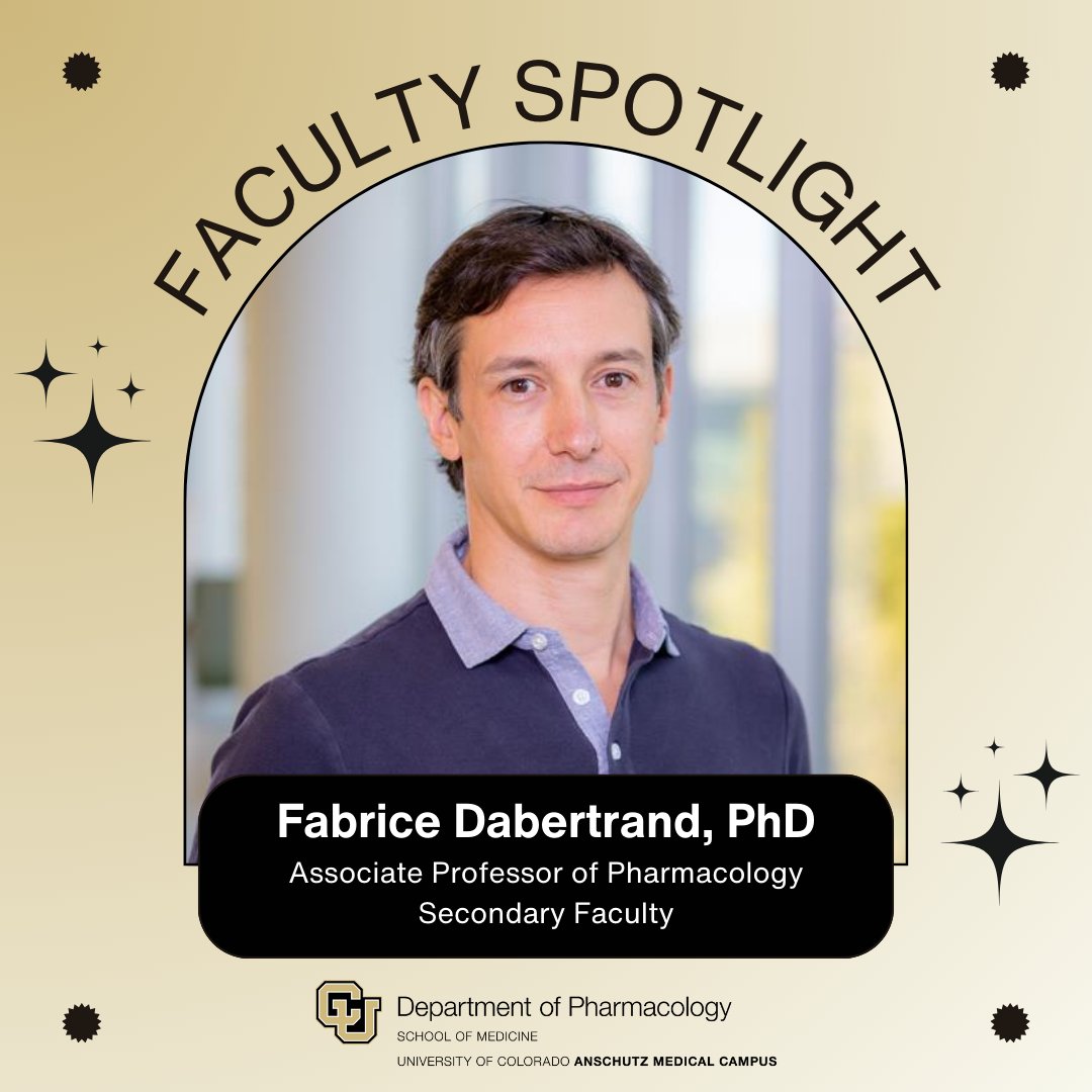 CU Pharmacology (@cupharmacology) on Twitter photo Today, we highlight our secondary faculty member Fabrice Dabertrand, PhD, Associate Professor <a href="/CUSOMAnesthesia/">CU Department of Anesthesiology</a> and Associate Professor of Pharmacology, for receiving a prestigious NIH RF1 grant. Dr. Dabertrand was awarded this grant in collaboration with Anastacia Garcia, PhD, Today, we highlight our secondary faculty member Fabrice Dabertrand, PhD, Associate Professor <a href="/CUSOMAnesthesia/">CU Department of Anesthesiology</a> and Associate Professor of Pharmacology, for receiving a prestigious NIH RF1 grant. Dr. Dabertrand was awarded this grant in collaboration with Anastacia Garcia, PhD,