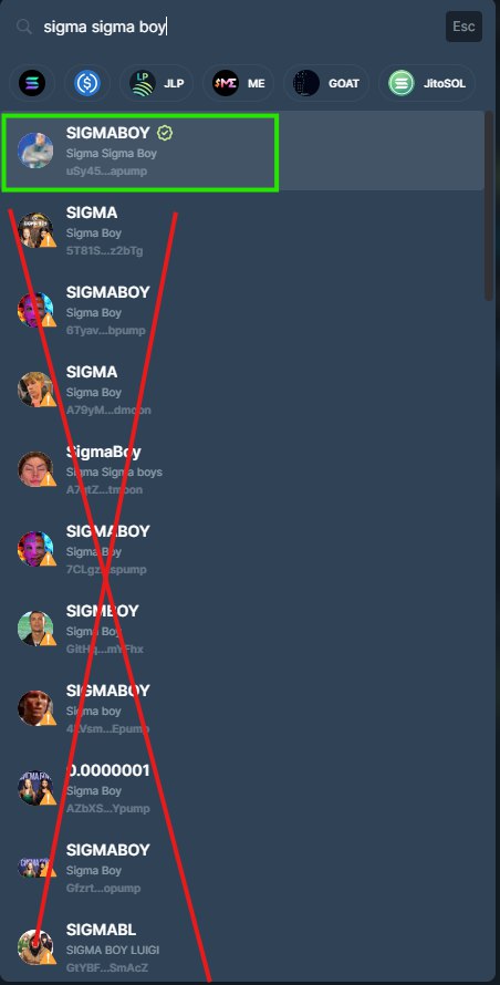 Remember everyone do not get scammed by other fake coins and rug pulls. We are the OG #SIGMABOY CTO.

uSy45a8ZvRCdnWriPaAuiRHygrRPChSvHM53Myapump