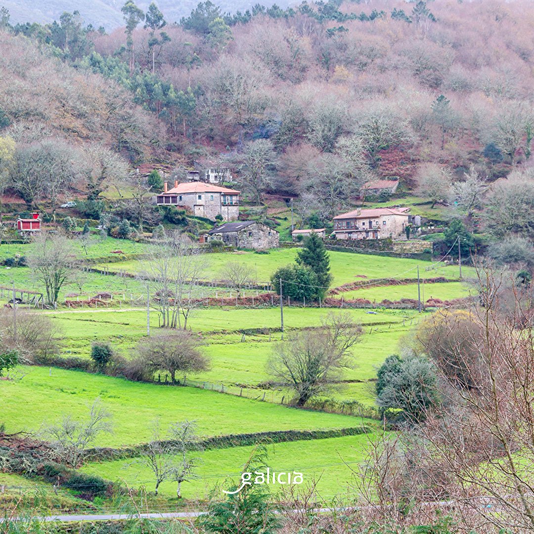 Turgalicia's tweet photo. ¡Este diciembre, disfruta de #Galicia con el bono turismo de la Xunta!

🏡 Alójate en cualquiera de las casas rurales de nuestra tierra y aprovecha también la promoción del  #OutonoGastronómico.

No dejes pasar esta oportunidad de combinar naturaleza, relax y la mejor gastronomía.

Reserva ya y aprovecha tu bono para vivir una experiencia única.

#PídecheGalicia