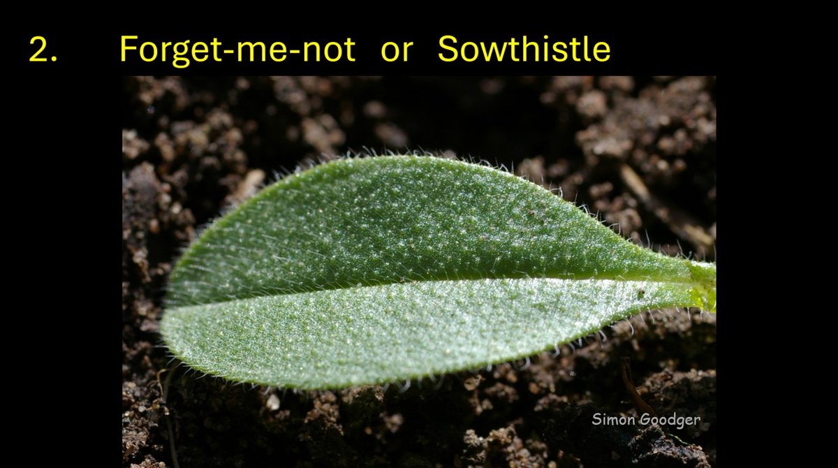 Simon Goodger tweet media