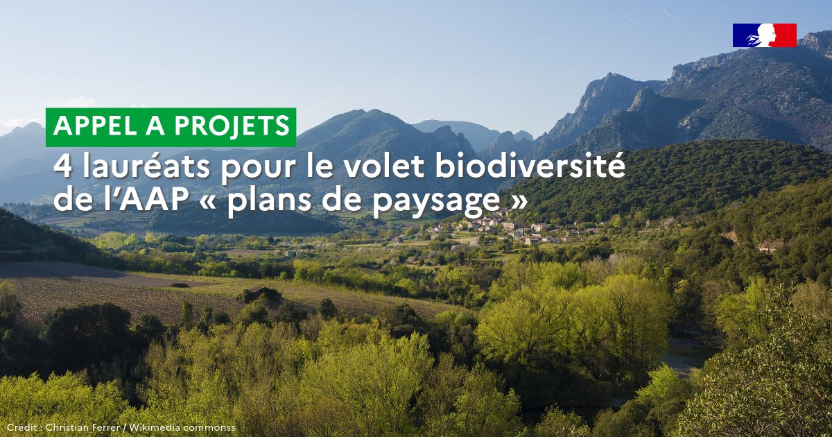 Office français de la biodiversité (@ofbiodiversite) on Twitter photo 🏞️ L’AAP "Plans de paysage" vise à financer et accompagner des projets de territoires mettant en valeur la démarche paysagère
✅ Une dizaine de lauréats a été sélectionnée. Parmi eux, les 4 premiers lauréats du volet biodiversité
👉ofb.gouv.fr/actualites/4-l…
<a href="/Ecologie_Gouv/">Ministères Territoires Écologie</a> 🏞️ L’AAP "Plans de paysage" vise à financer et accompagner des projets de territoires mettant en valeur la démarche paysagère
✅ Une dizaine de lauréats a été sélectionnée. Parmi eux, les 4 premiers lauréats du volet biodiversité
👉ofb.gouv.fr/actualites/4-l…
<a href="/Ecologie_Gouv/">Ministères Territoires Écologie</a>