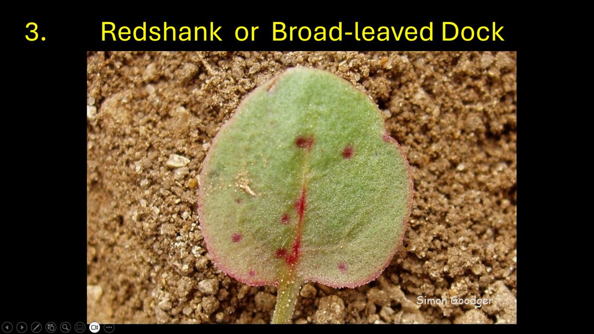 Simon Goodger tweet media