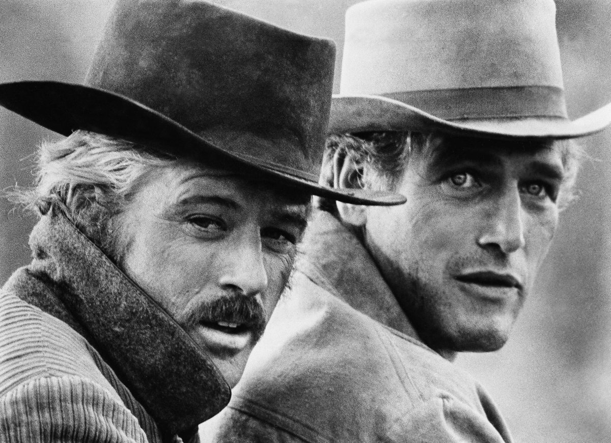 All The Right Movies tweet media