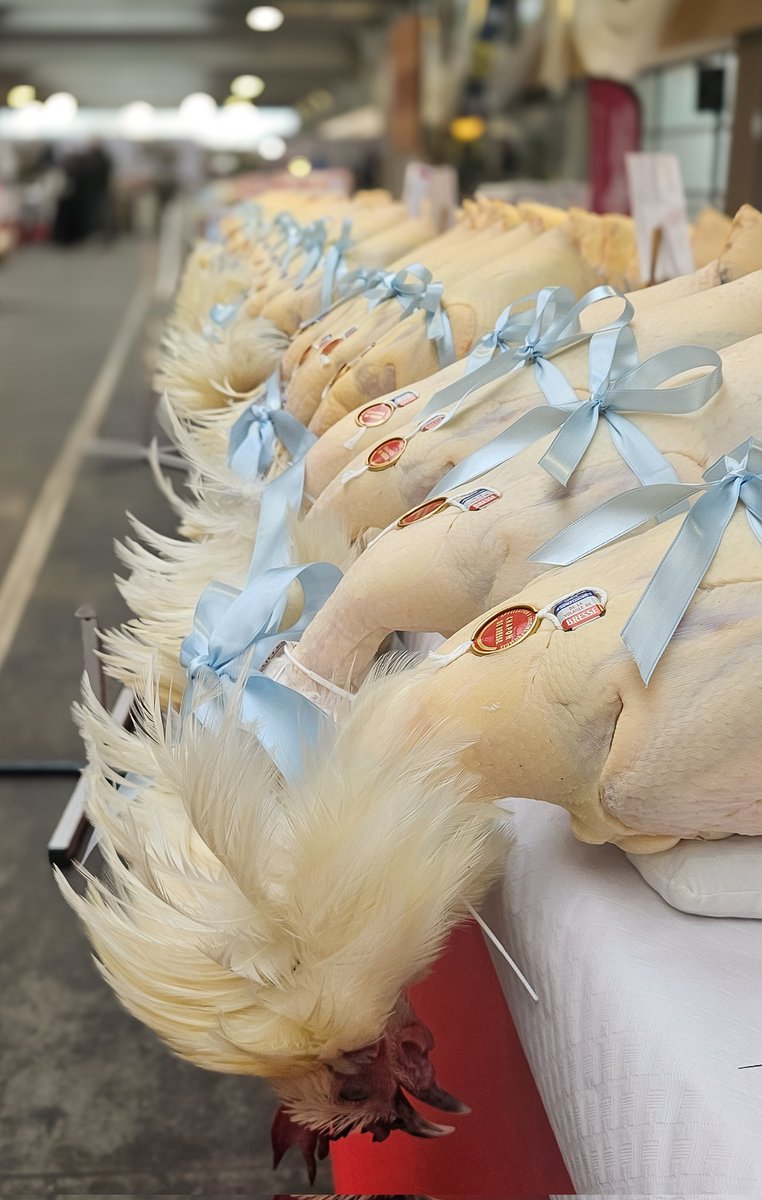 Elles sont quand même belles nos volailles de Bresse <a href="/FNSEA/">La FNSEA</a> #Agriculture #tradition <a href="/Departement_AIN/">Département de l'Ain</a> @fnsea01 <a href="/auvergnerhalpes/">Auvergne-Rhône-Alpes</a>