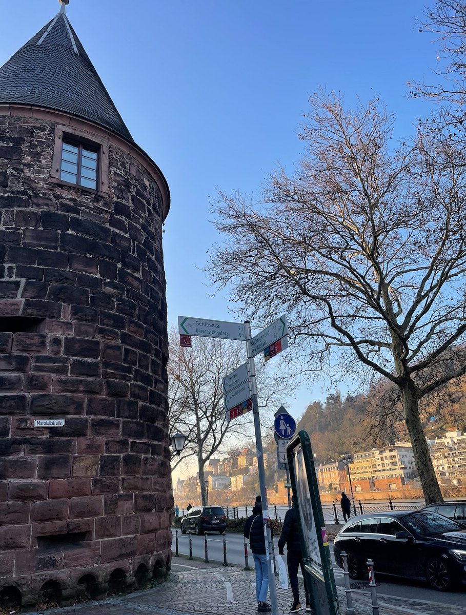 Anna Caunt tweet media