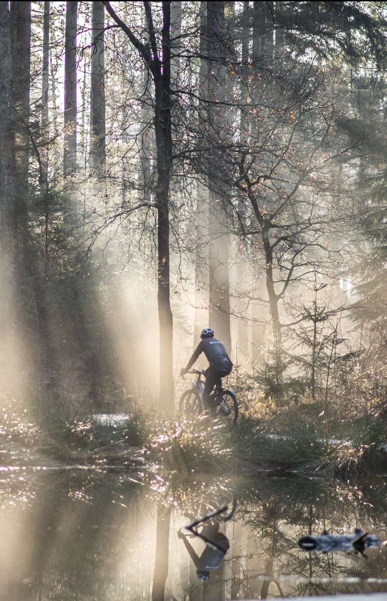 Weekend bossen Beetsterzwaag. <a href="/SantosBikes/">SantosBikes</a> <a href="/SantosBikesUK/">SantosBikesUK</a> <a href="/fietssportmag/">Fietssport</a> <a href="/MTBroutesNL/">MTBroutes NL</a> <a href="/OmropNijs/">Omrop Fryslân Nijs</a> <a href="/provfryslan/">Provincie Fryslân</a> <a href="/Lauswolt/">Lauswolt</a> <a href="/Opsterland/">Gemeente Opsterland</a> <a href="/visitfriesland/">Visit Friesland</a> <a href="/gravelrideracer/">GRAVEL BIKE RIDERS & RACERS TX, USA, UK, WORLDWIDE</a> @Natuurmonument <a href="/NatuPhotography/">Nature Photography</a>