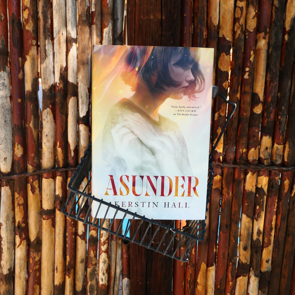 We choose our own gods here🔥

Asunder by <a href="/Kerstin__Hall/">Kerstin Hall (Updates Only)</a> follows Karys Eska, a deathspeaker locked into a compact with an eldritch being, as she tries to save the life of the man she has accidentally bound to her shadow.