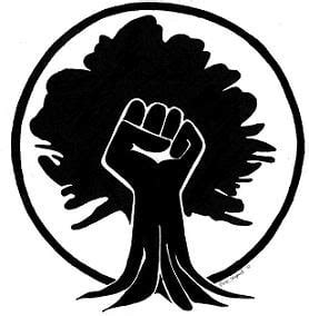 Save the date! 2025 EF! Summer Gathering will be 7-11 Aug. The gathering is a time to come together to celebrate our movement and build radical ecological resistance. New comers are very welcome, join us for workshops, music, discussion and connecting to like-minded people ✊