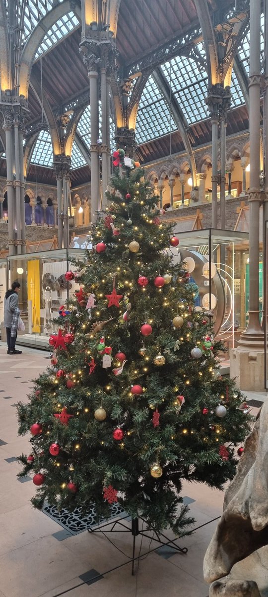 David Stone tweet media