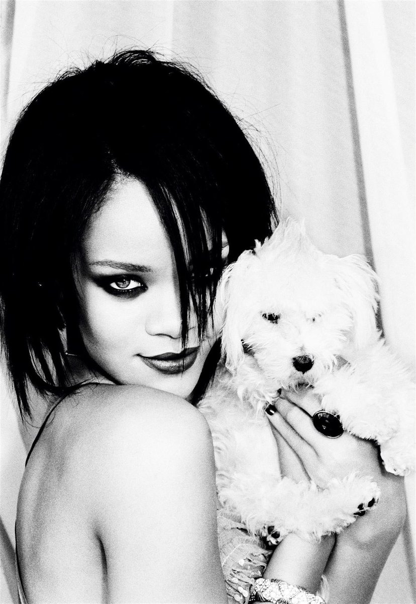 FentyStats's tweet photo. 🇳🇿 | @rihanna’s "Breakin’ Dishes" is now certified GOLD in New Zealand with over 15,000 units sold. https://t.co/ML1Vh8xfkQ