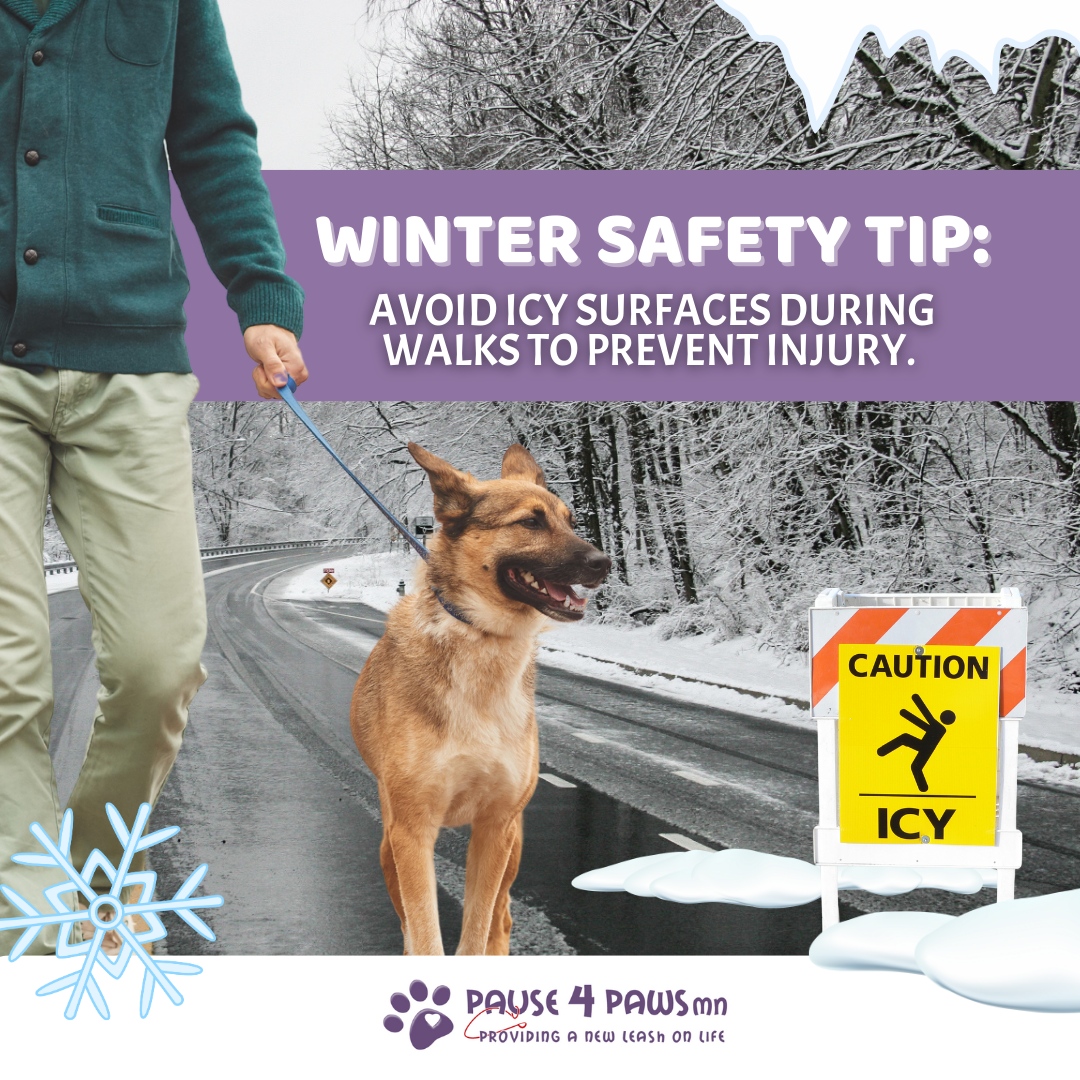 Pause4PawsMN's tweet photo. Avoid walking on frozen or slippery ground to prevent injuries. Stick to clear paths and use paw protection if needed. Let’s keep our pets safe and warm this winter! 

Share your winter pet tips in the comments below! 

#Pause4Paws #CatLover #DogLover #AdoptAPet #RescueAPet #S... https://t.co/8oLIw5Fhlt