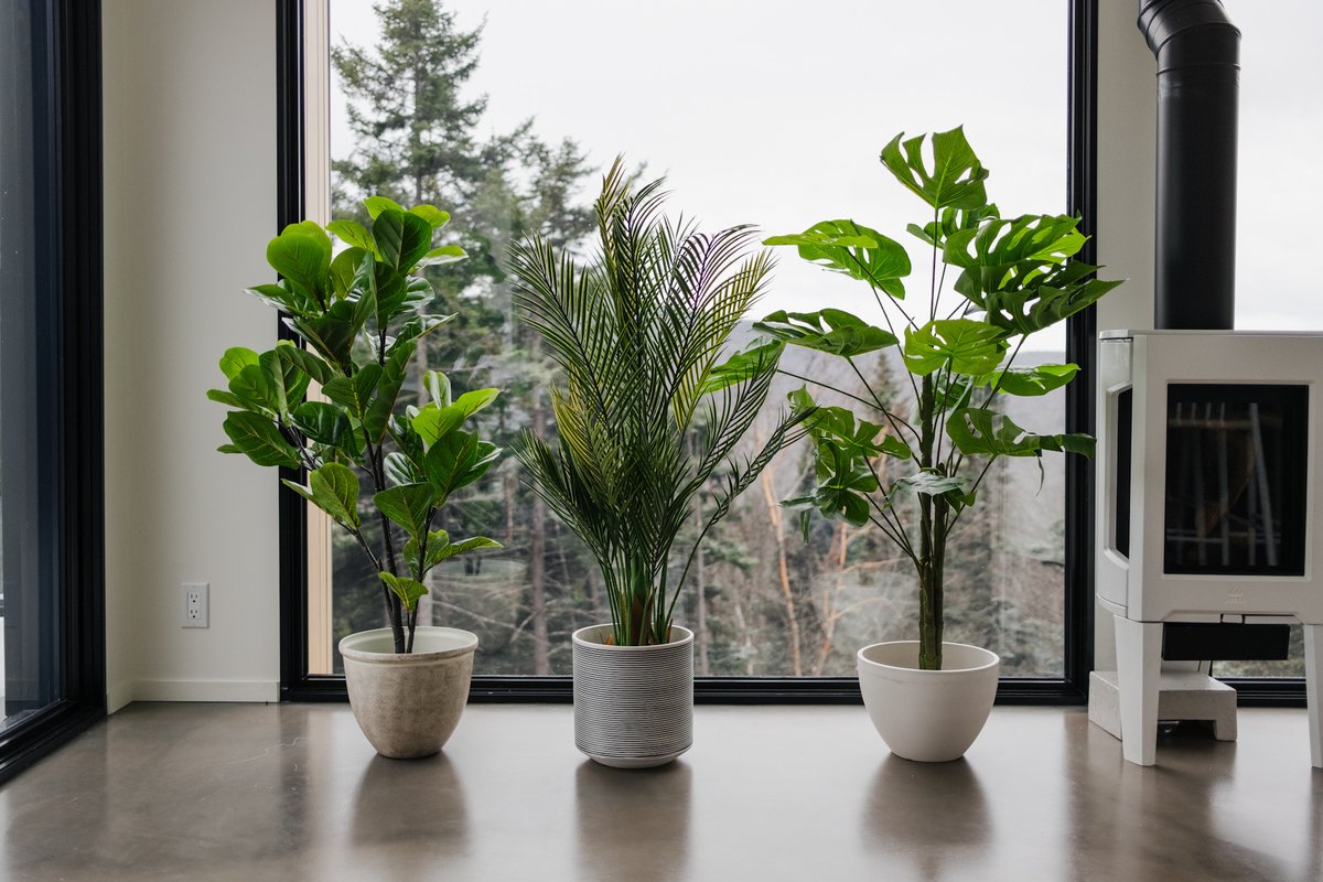 A fresh look for every season — Refresh your decor year-round with our lifelike artificial plants. From vibrant spring greenery to cozy fall and winter arrangements, create effortless seasonal vibes without the upkeep.  

Click here to read more! naturaedecor.ca/seasonal-decor…