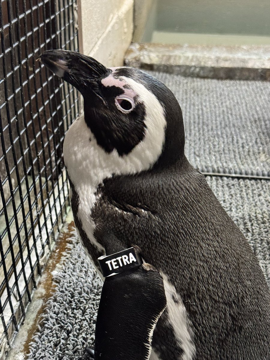 MikeWHolmes's tweet photo. happy feet 🤓 https://t.co/XbOm8NVZSB