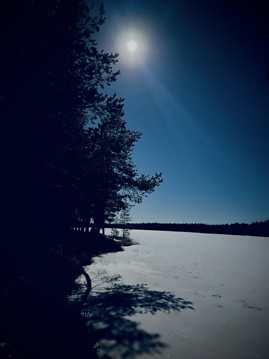 Täysi kuu ja pakkanen -22,nautin.
#fulmoon #frost #lapland #finland #nature I enjoyed