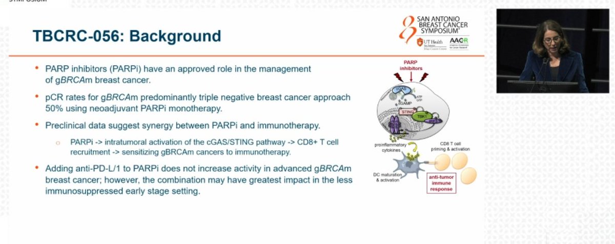 DFCI_BreastOnc's tweet image. Dr. Erica Mayer (@elmayermd) presents results from the TBCRC 056 phase II study of neoadjuvant #Niraparib with #Dostarlimab for Patients with BRCA- or PALB2-Mutated #BreastCancer in the #SABCS24 Rapid Fire Session.