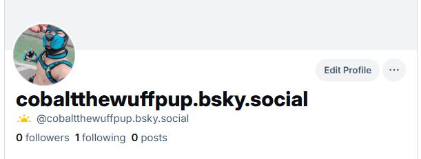 Hey everyone! Just want to let you know that I set up a bsky profile! Probably gonna swap back and forth between these two for a minute! Say hi if you're there! :3

**Note that Cobaltthepup was taken, so my @ there is Cobaltthewuffpup lol