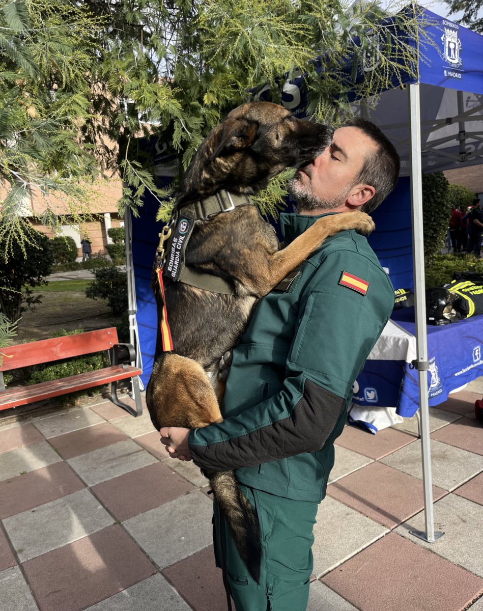 benemeritvm's tweet photo. Maravilloso día de #Navidad 🎄que nos ha regalado @Asc_SONRISAS disfrutando todos juntos con los peques y mayores de la @FISJ_Madrid シ #GuardiaCivil #ServicioCinológico #Uprose https://t.co/owfhvFVdYU