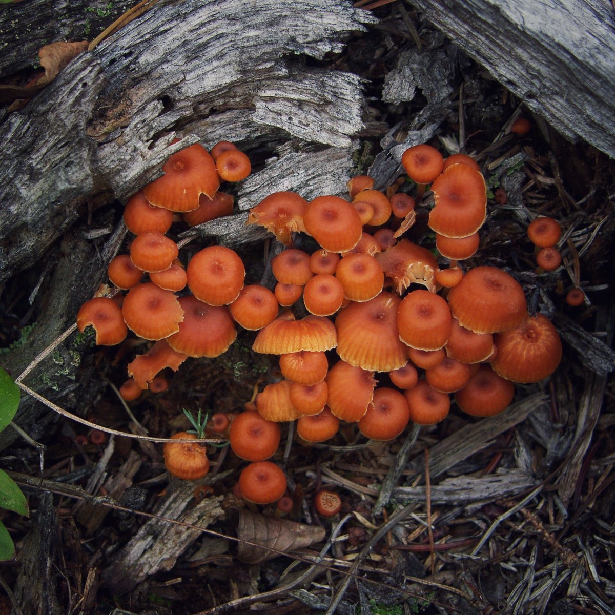 Ann in Bridge Lake tweet media