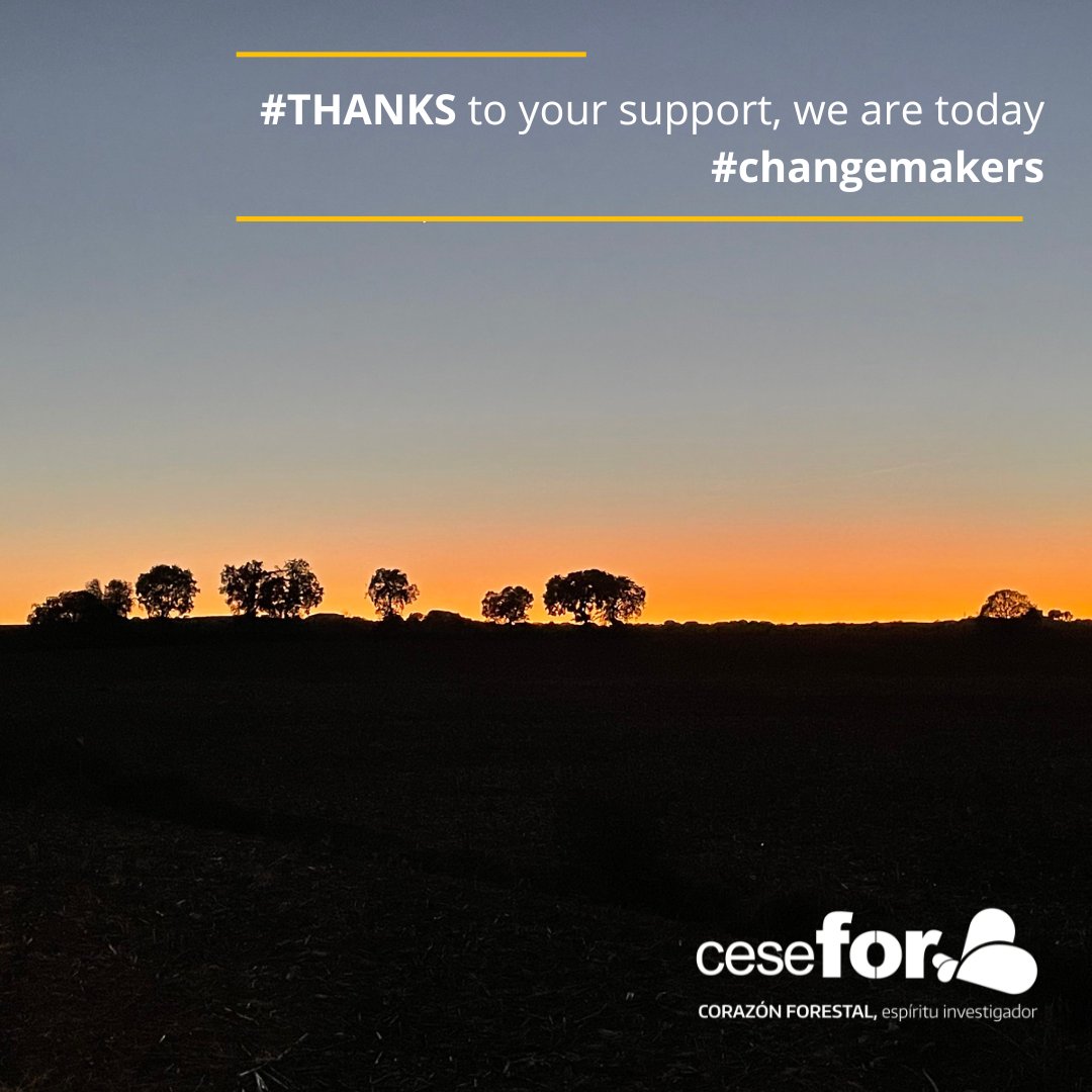 FCesefor's tweet photo. At #Cesefor2024AnnualDay we have made a special mention to the international networks we are proud to be members of, such as @europeanforest  @IUFRO  @ERIAFF_Network @efimedfacility @efibioregions  @modelforest and #INNOVAWOOD
#THANKS to your support, we are today #changemakers https://t.co/dTCZuiPsOR
