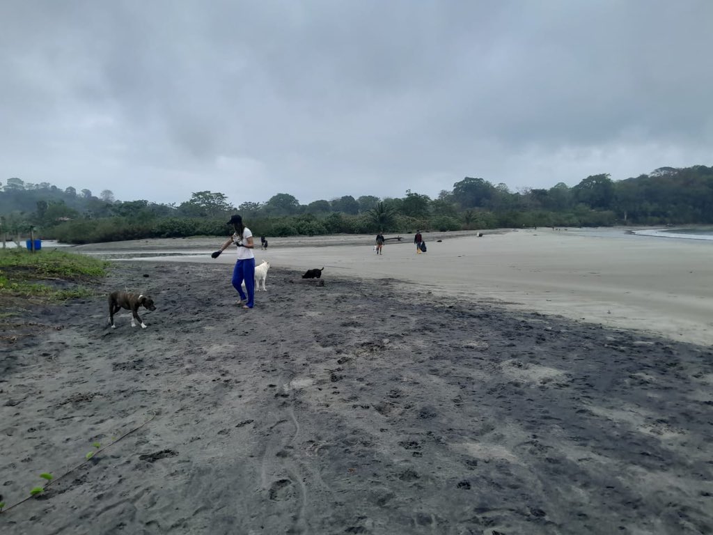 Fortaleciendo las mingas de limpieza. Pronto, más fuerza junto a <a href="/mingasporelmar/">Mingas por el Mar</a> y gestión de ASOTURMOMPICHE.