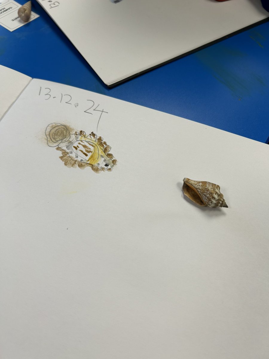 St Peter’s Academy tweet media