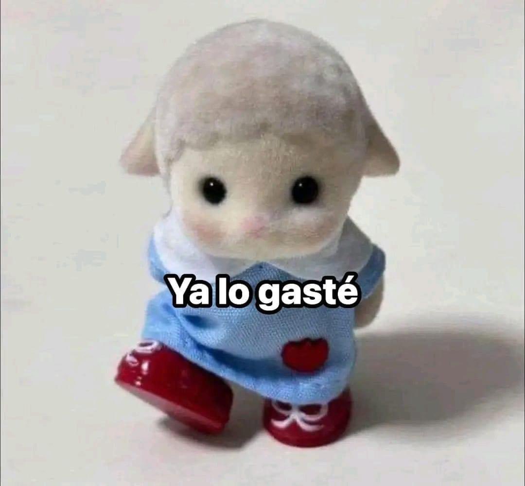 Salvador Iglesias Jr tweet media