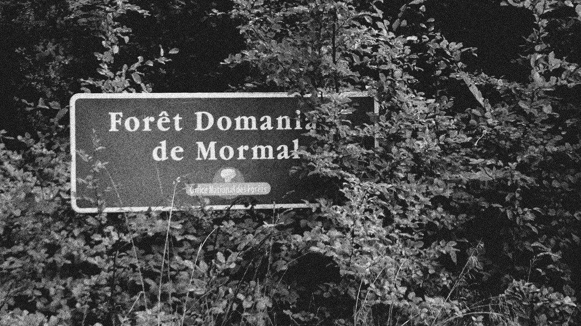 Militer pour protéger la forêt peut coûter très cher : enquête sur un acharnement

Pour avoir mis en lumière, depuis dix ans, les coupes de bois excessives de l’ONF et dénoncé ses plans de chasse qui vident le massif de ses cervidés, Jean-François Hogne subit de multiples