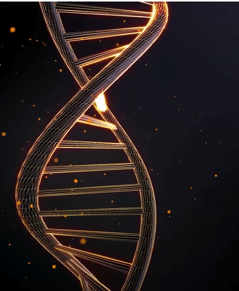 #STARTUP #DEEPTECH #OCEAN #MENTORAT #FRANCESTARTUPOCEANS : LE PROJET 171   france-startup-oceans.eu/2024/12/startu… via <a href="/oceans_startup/">Francestartupoceans</a>