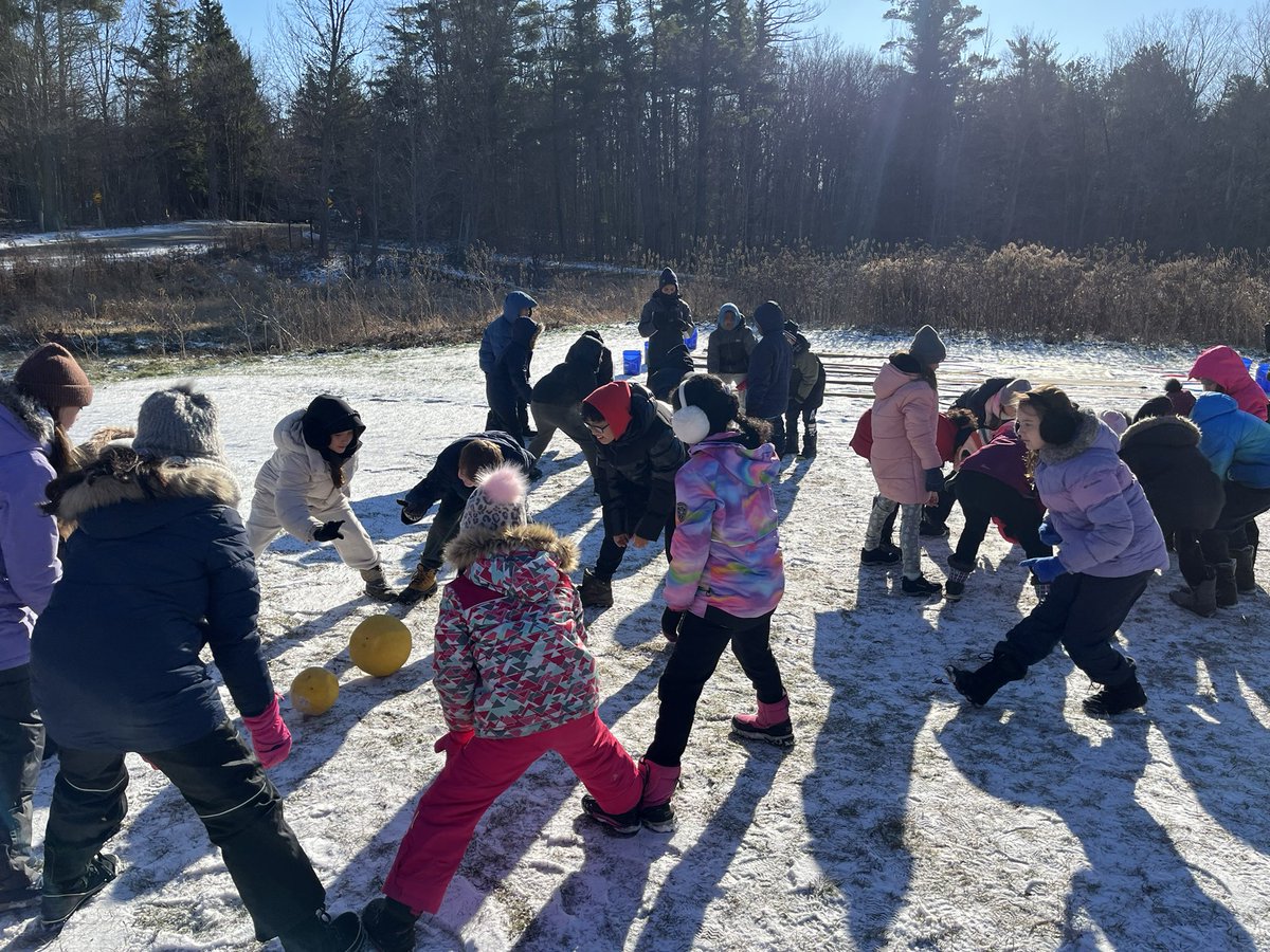 C. Rapa-Perri 🌻 tweet media