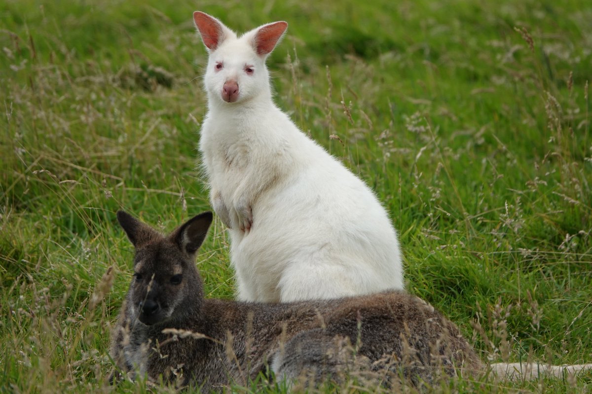 🐸Frog🐸 tweet media