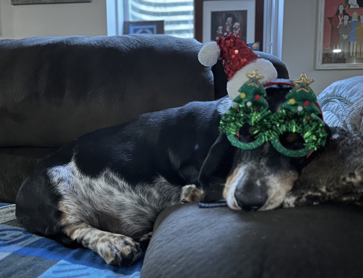 Bubba the 80 pound hound tweet media