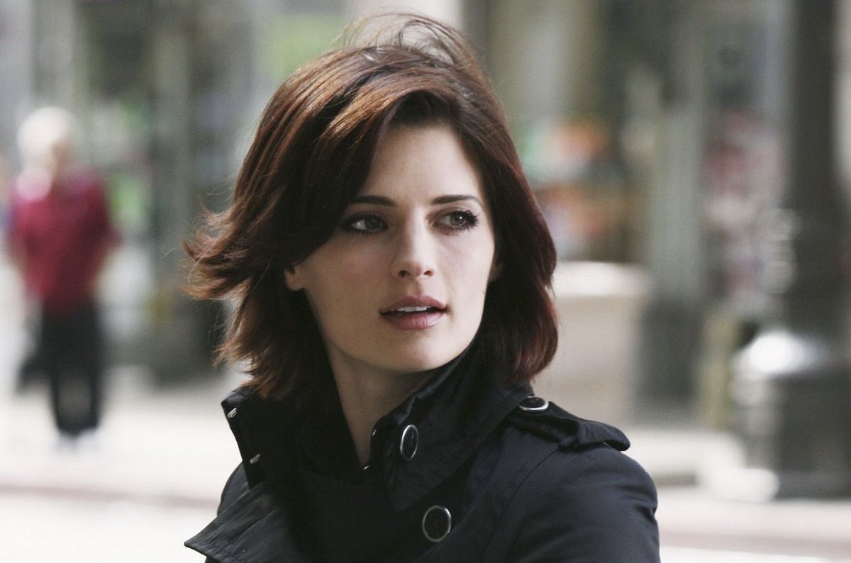 mysterymuse 🖋️ tweet media