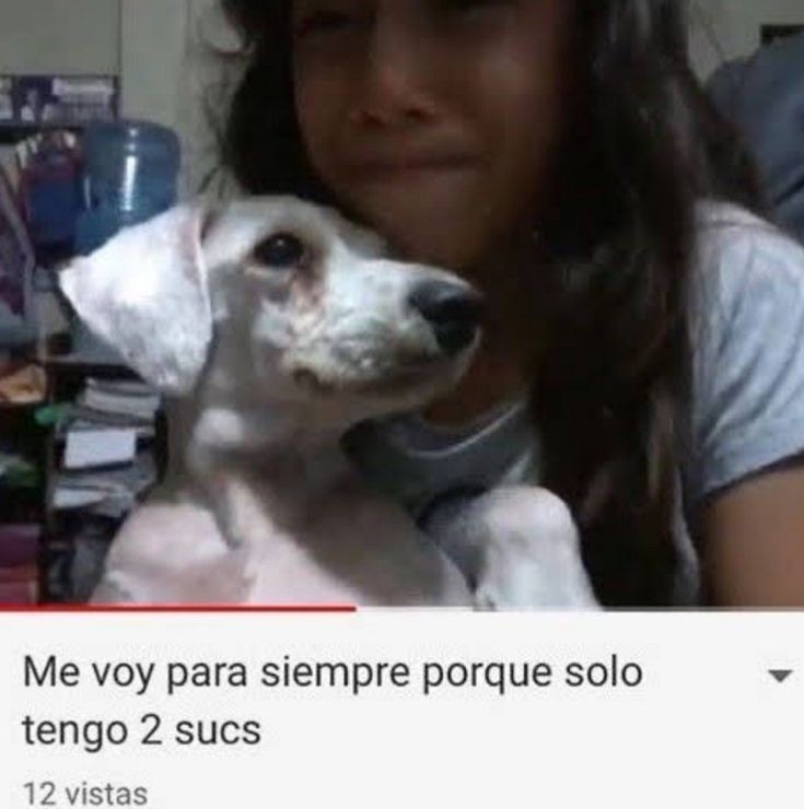 MongDalk's tweet photo. Renuncio, ya no soy para esto https://t.co/a9yogRBetF