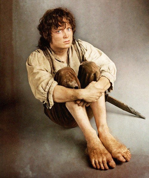 myelessar's tweet photo. when someone asks how i’m feeling but the only way i can describe it is like frodo baggins in these pictures https://t.co/N4ldokfYDg