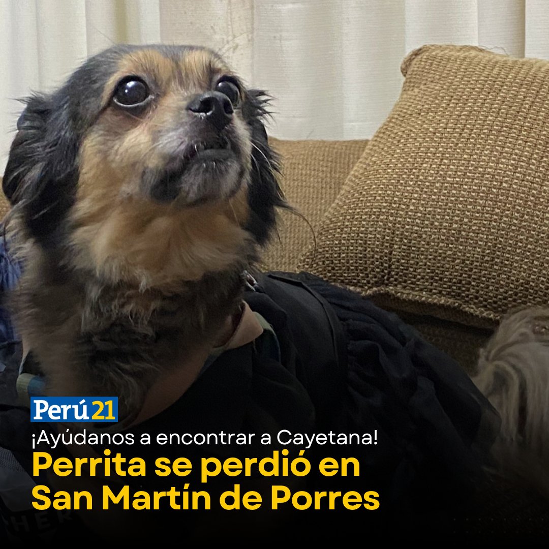 🚨 Perrita desaparecida. Ayúdanos a encontrarla

Según la descripción que brindan sus dueños, es una perrita pequeña, con la oreja derecha caída y le faltan dos dientes. Además, ofrecen una recompensa de 500 soles para quien logre dar con ella.

Pueden comunicarse al 955503679.