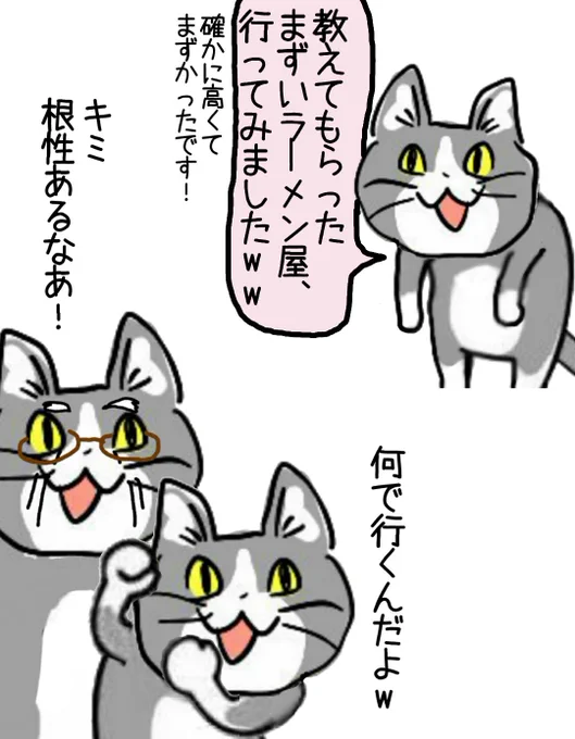 先輩に教えてもらった飯屋には積極的に行ってみよう #現場猫 