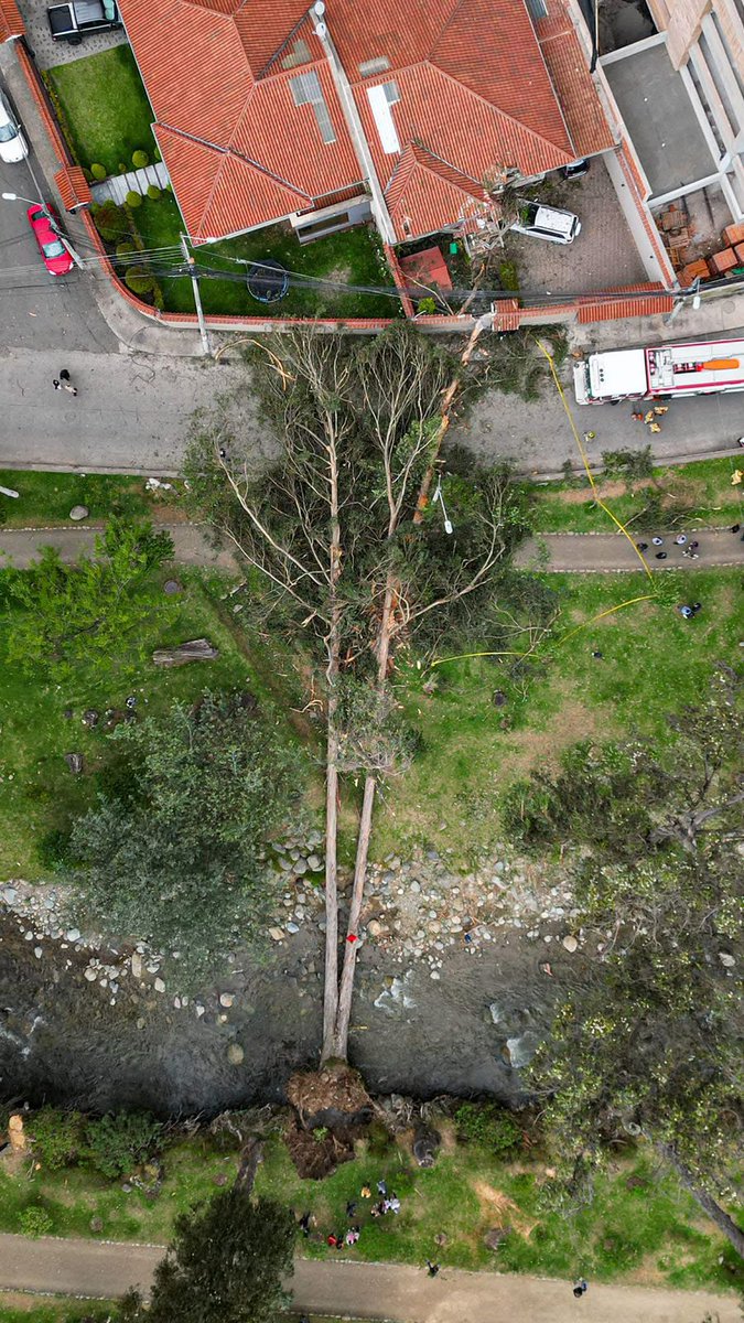 tomebamba's tweet photo. Imagen aérea del árbol caído en la Paseo Tres de Noviembre y los Cedros, en #Cuenca. Dos mujeres y un menor de edad fueron trasladados al hospital Vicente Corral Moscoso.

Imagen: Manuel Vega https://t.co/UhoRoRJN1b