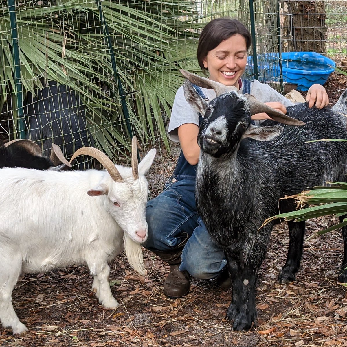 YaBonks (@yabonksofficial) on Twitter photo Do you love animals? I know I do! Do you know who else loves animals? Kelly, the co-founder of Karma Farm Sanctuary <a href="/KarmaFarmSanct/">KarmaFarmSanctuary</a>. I want to take a moment to highlight this incredible person that is the main driving force behind Karma Farm Sanctuary.
Kelly is the most selfless Do you love animals? I know I do! Do you know who else loves animals? Kelly, the co-founder of Karma Farm Sanctuary <a href="/KarmaFarmSanct/">KarmaFarmSanctuary</a>. I want to take a moment to highlight this incredible person that is the main driving force behind Karma Farm Sanctuary.
Kelly is the most selfless