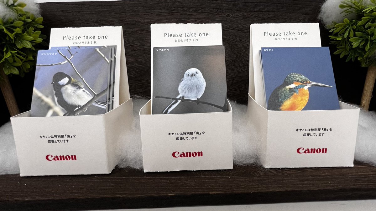 鳥カードの配布、復活しました】 #鳥展 に特別協賛をいただいている 