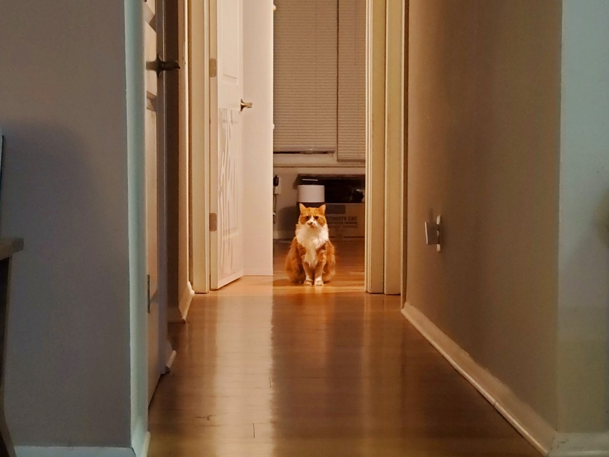 Dbwagner104's tweet photo. come play with him, twitter. forever and ever and ever https://t.co/8dQlEtApsb