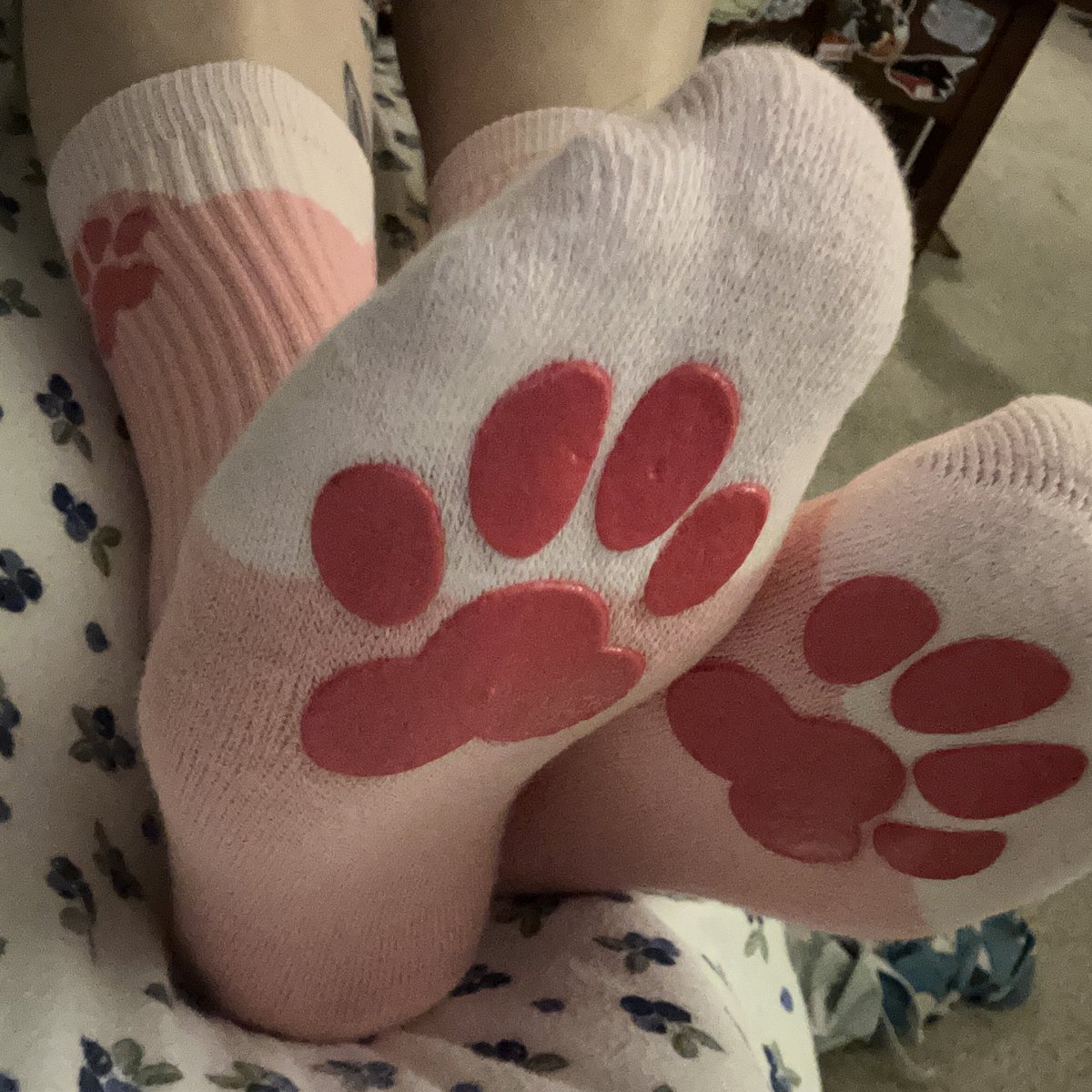 Mae, Gundam Queen tweet media