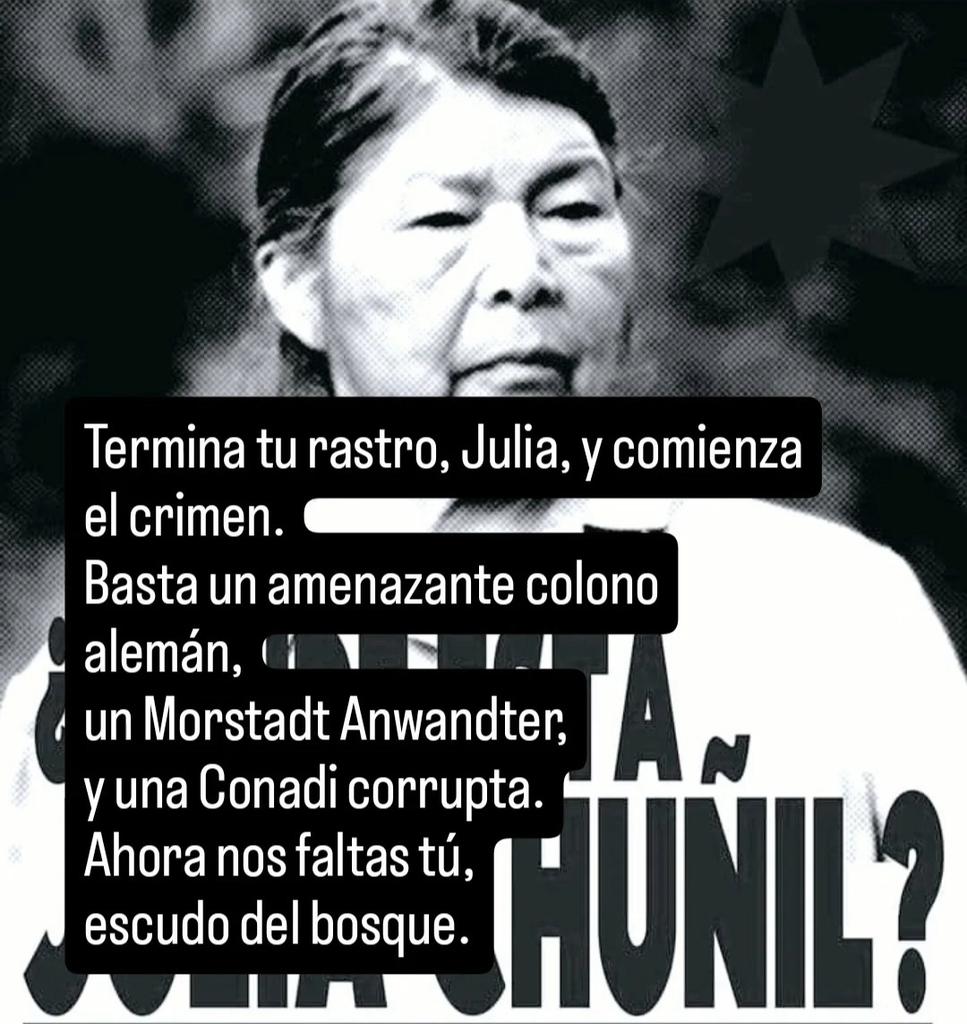 PeriodistaFigue's tweet photo. Julia, escudo del bosque https://t.co/mZ9mFKrFl1