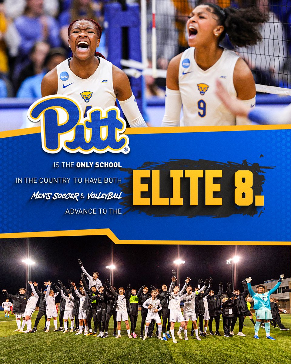 Pitt_ATHLETICS's tweet photo. Pitt is IT. https://t.co/VgNMJcPE1J