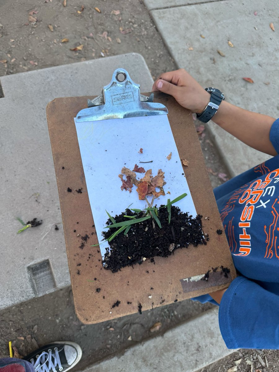 Ground Education tweet media