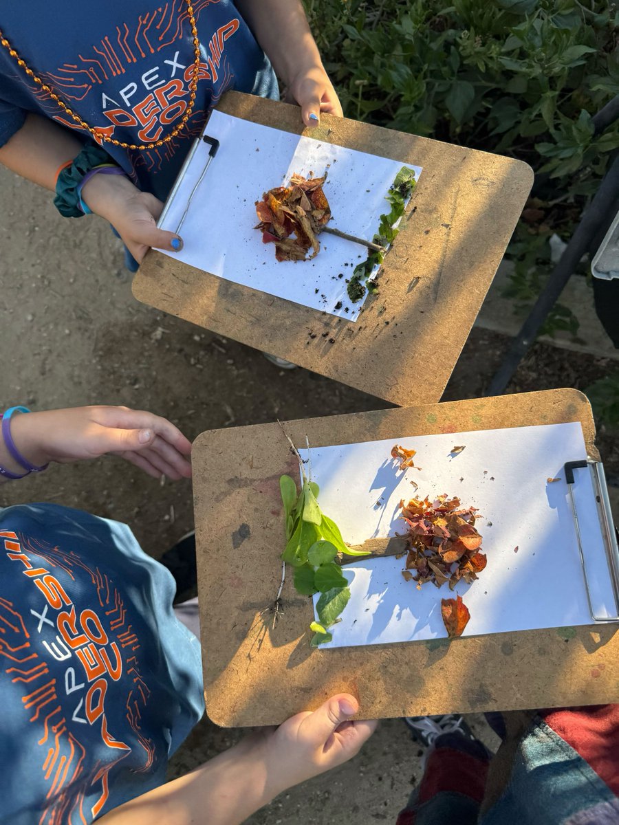 Ground Education tweet media