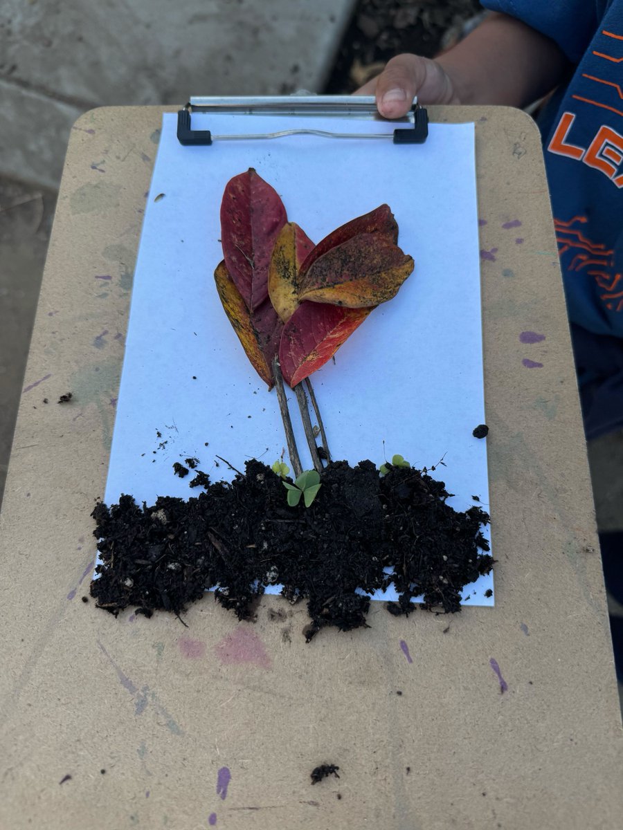 Ground Education tweet media