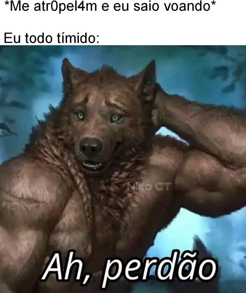 shitpostverdade's tweet photo. https://t.co/qR4IXA5HJm