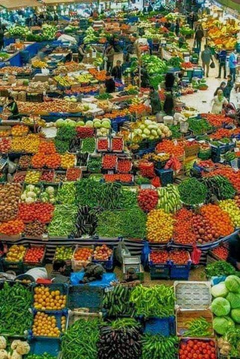 *
                     “Paloquemao el paraíso de la Agrodescendencia”
*
Foto de Keshava Lìévano: