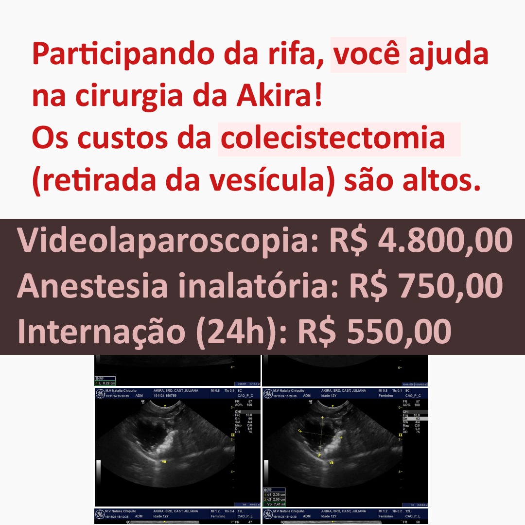Jiyoongi_'s tweet photo. RIFA: AJUDE UMA DOGUINHA KPOPPER A FAZER UMA CIRURGIA E CONCORRA A UM INGRESSO FÍSICO VIP (MEIA ESTUDANTE) DO STRAY KIDS ( DATA: 05.04.2024)!!

Caros, minha amiga ia no show do Stray Kids (eu mesma comprei na bilheteria).

#StrayKids_dominATE
#StrayKids
#VIP
#INGRESSO https://t.co/XHIZUGGXXh