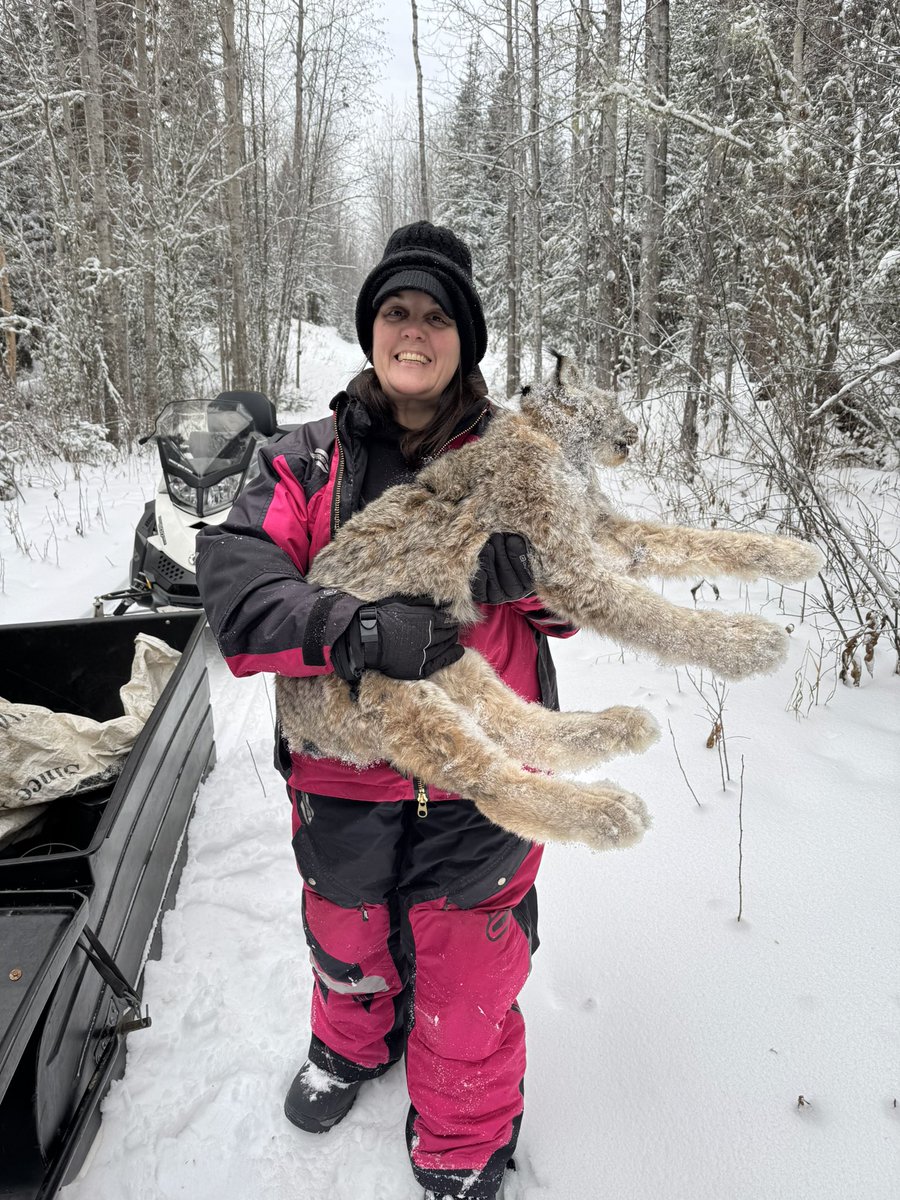 trapper2140's tweet photo. Great day on the trapline https://t.co/7t0ILDnApS